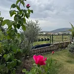 度假居 Urla'da Tatli, Huzurlu, Bahceli Bir Ev