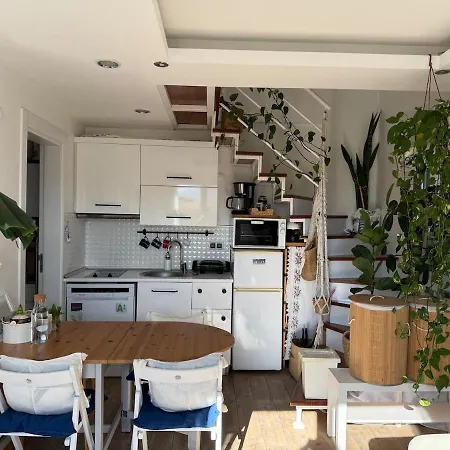 Urla'da Tatli, Huzurlu, Bahceli Bir Ev Holiday home